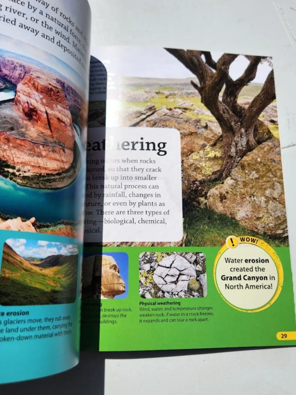 NEW DK Findout! Earth Life Sciences Book Science Paperback BookShark Science C S